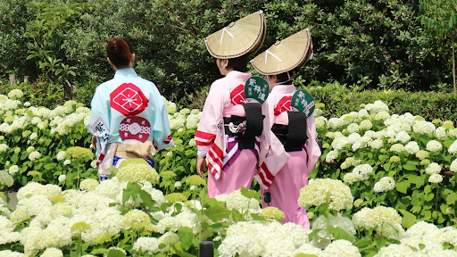 🌸【参加無料✨国際交流イベント｜三室戸寺あじさいミートアップ】🌿🍵